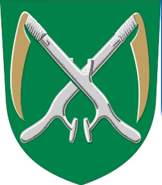 Havainnekuva Alavieskan vaakunasta ja sähköverkosta