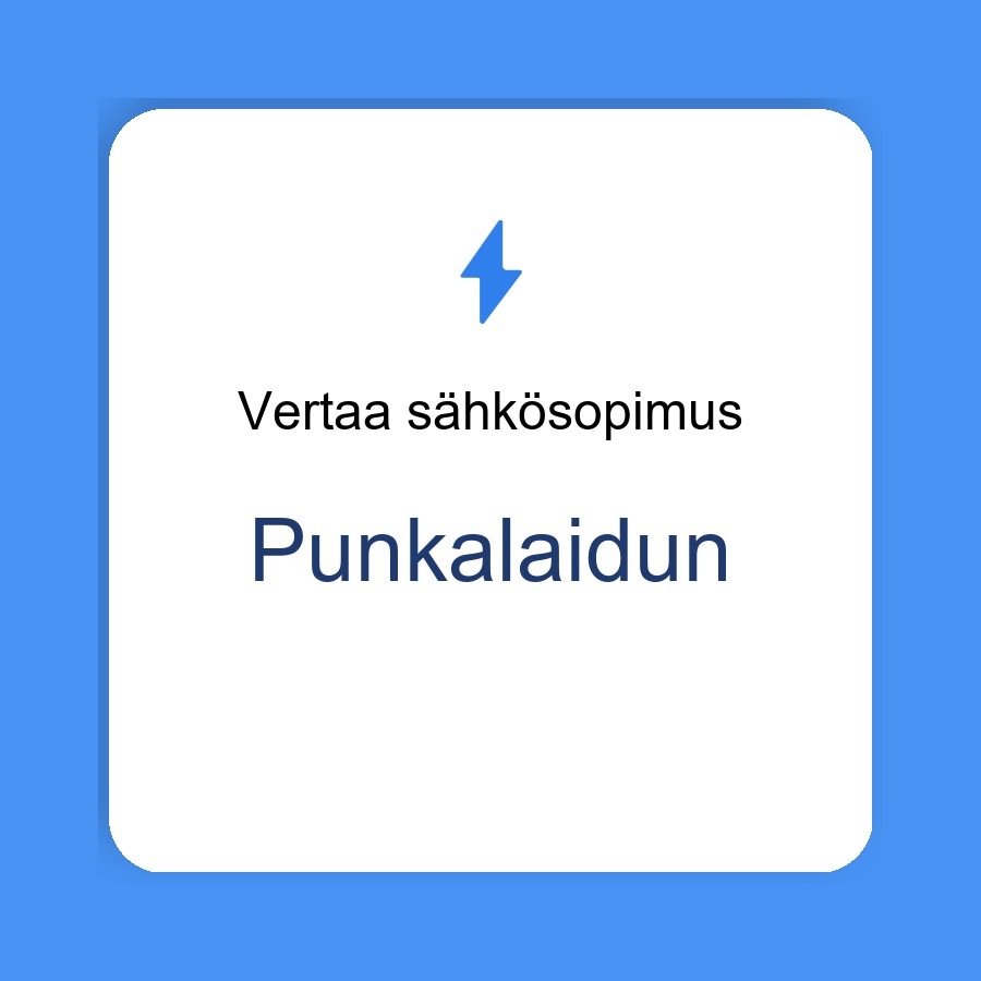 sähkösopimus Punkalaidun